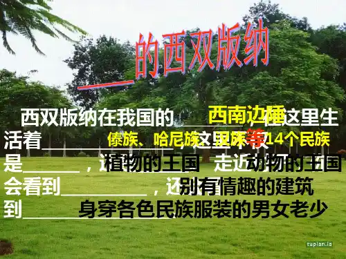 《美丽的西双版纳》.