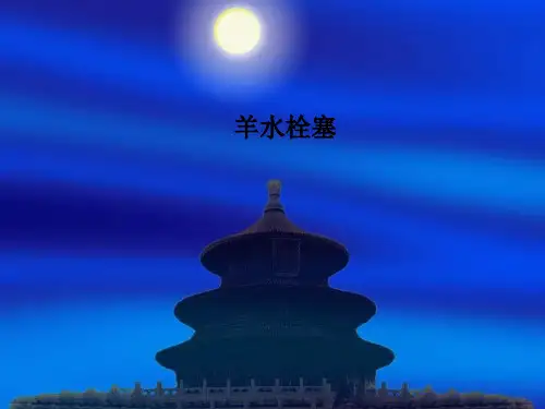 羊水栓塞 PPT课件
