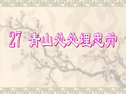 五年级语文上册青山处处埋忠骨课件