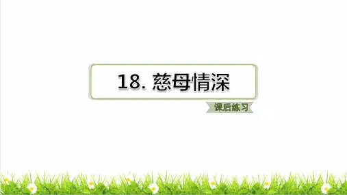 统编版语文五年级上册第六单元《单元知识点》上课课件