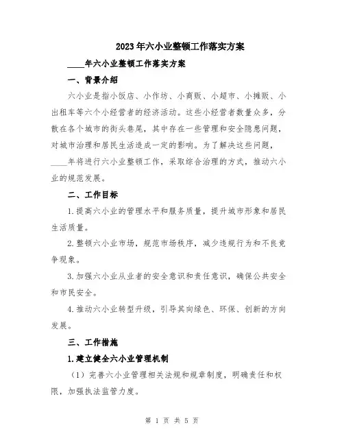 2023年六小业整顿工作落实方案