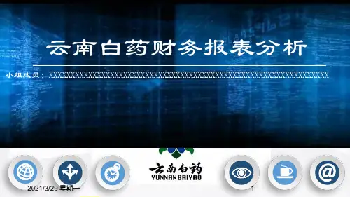 云南白药财务报表分析