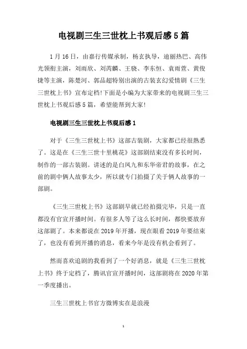 电视剧三生三世枕上书观后感5篇.doc