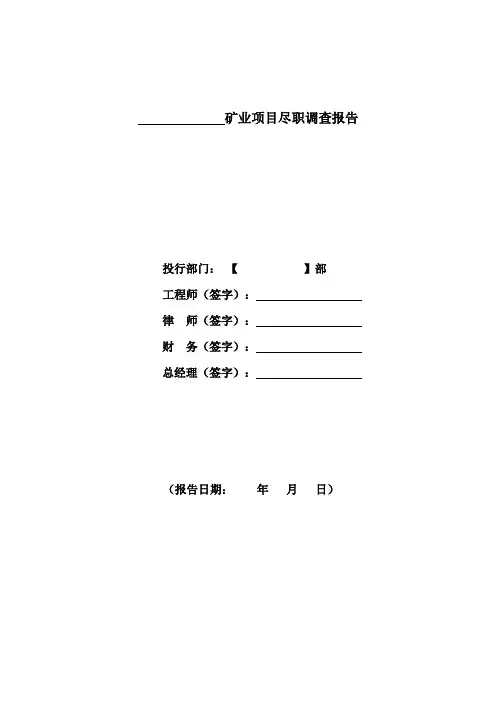 矿业项目尽职调查报告