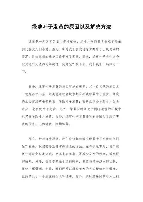 绿萝叶子发黄的原因以及解决方法
