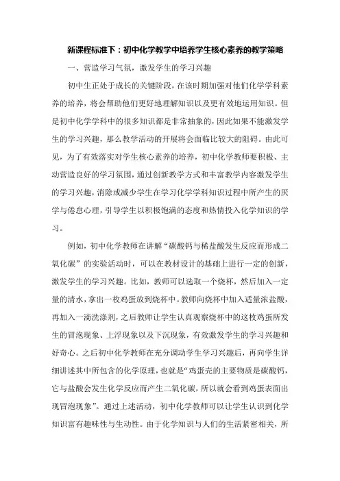 新课程标准下：初中化学教学中培养学生核心素养的教学策略