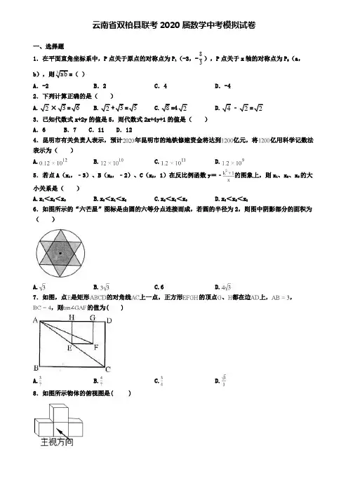 云南省双柏县联考2020届数学中考模拟试卷