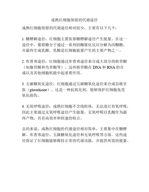 成熟红细胞保留的代谢途径