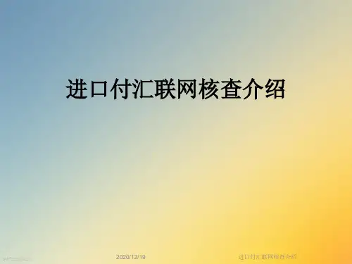 进口付汇联网核查介绍