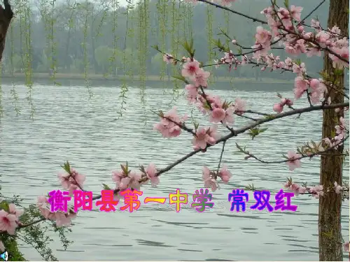 朱子语类三则ppt10 人教课标版