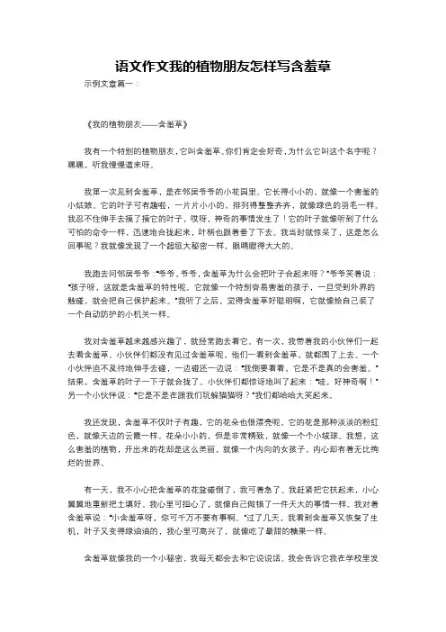 语文作文我的植物朋友怎样写含羞草