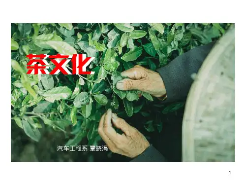 茶文化PPT课件