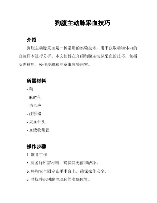 狗腹主动脉采血技巧