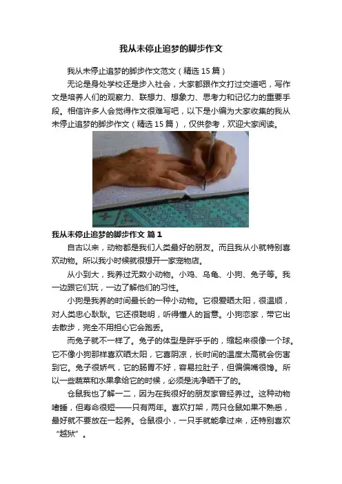 我从未停止追梦的脚步作文