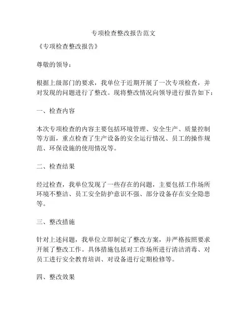 专项检查整改报告范文