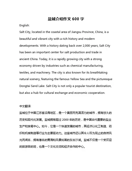 盐城介绍作文600字