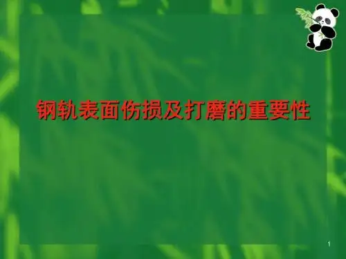 钢轨表面伤损及打磨的重要性31页
