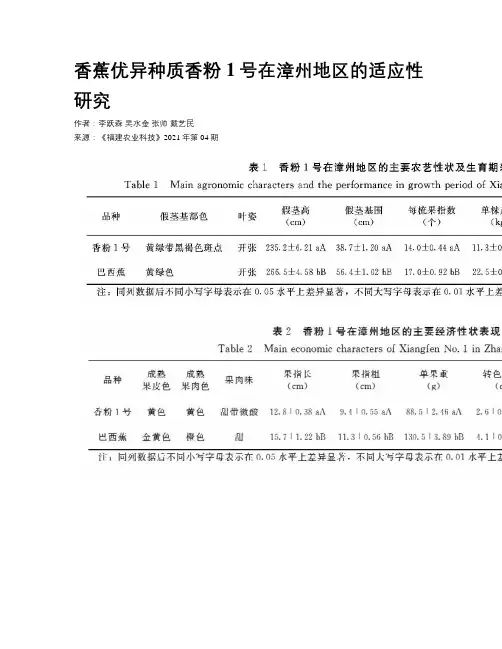 香蕉优异种质香粉1号在漳州地区的适应性研究