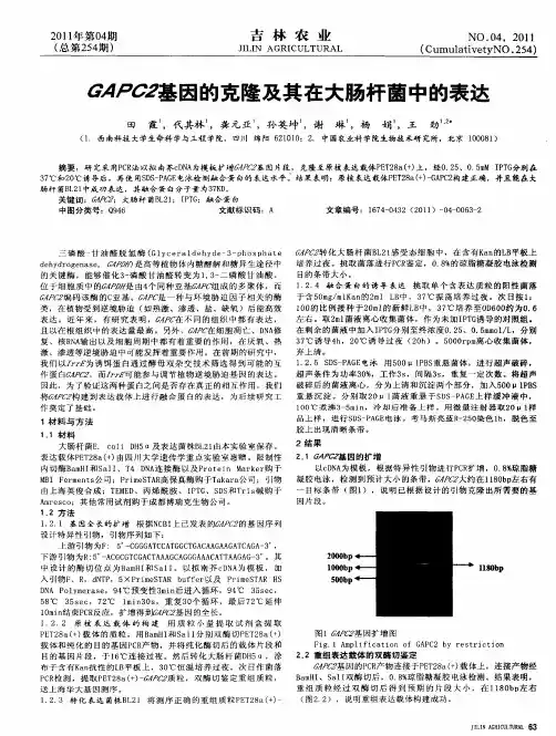 GAPC2基因的克隆及其在大肠杆菌中的表达