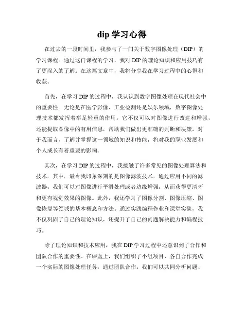 dip学习心得