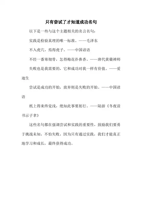 只有尝试了才知道成功名句