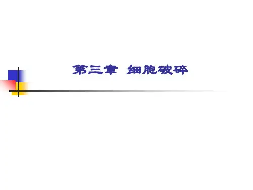 第三章细胞破碎