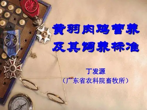 丁发源黄羽肉鸡营养及其饲养标准1-54页PPT文档资料
