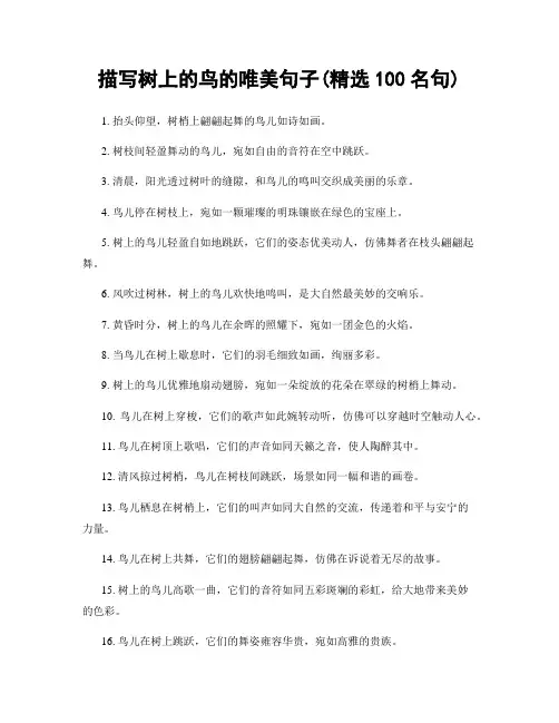 描写树上的鸟的唯美句子(精选100句)