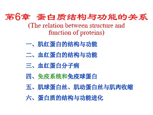 生物化学第6章蛋白质结构与功能的关系精品PPT课件