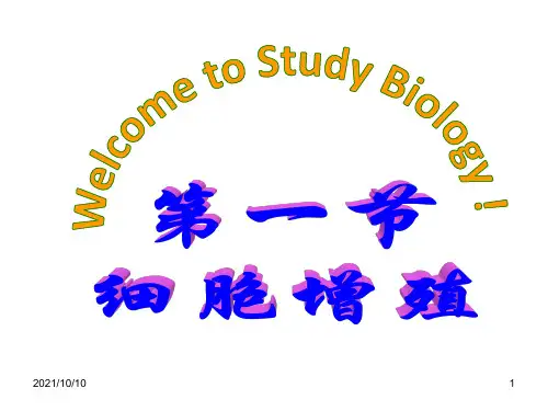 人教版高中生物必修一第六章课件