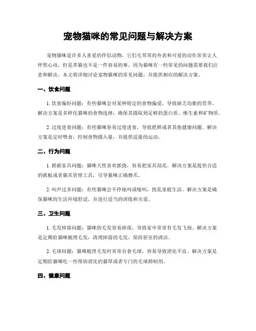 宠物猫咪的常见问题与解决方案