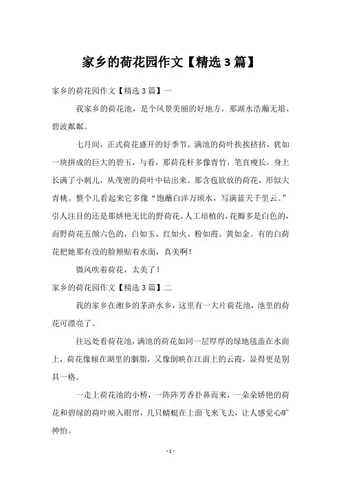 家乡的荷花园作文【3篇】