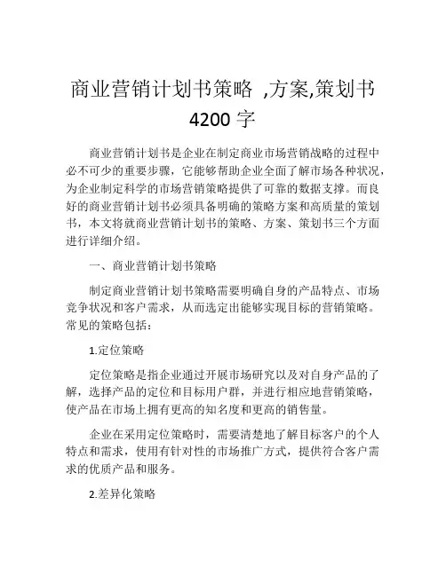 商业营销计划书策略 ,方案,策划书4200字