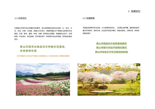 农业园规划设计说明