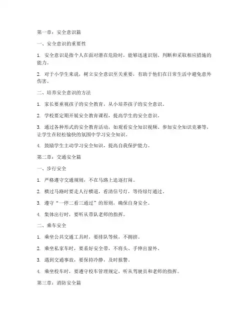 小学安全教育系列手册