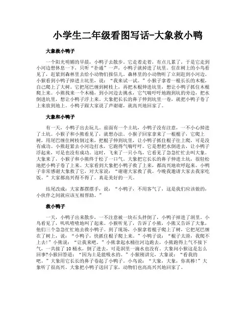 小学生二年级看图写话大象救小鸭