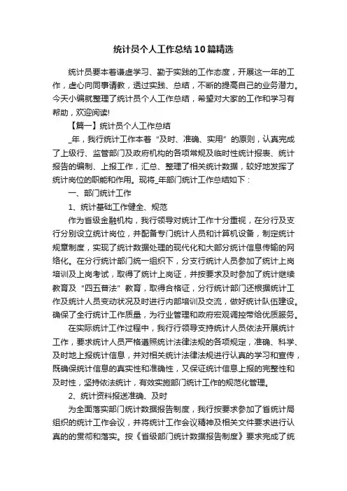 统计员个人工作总结10篇精选