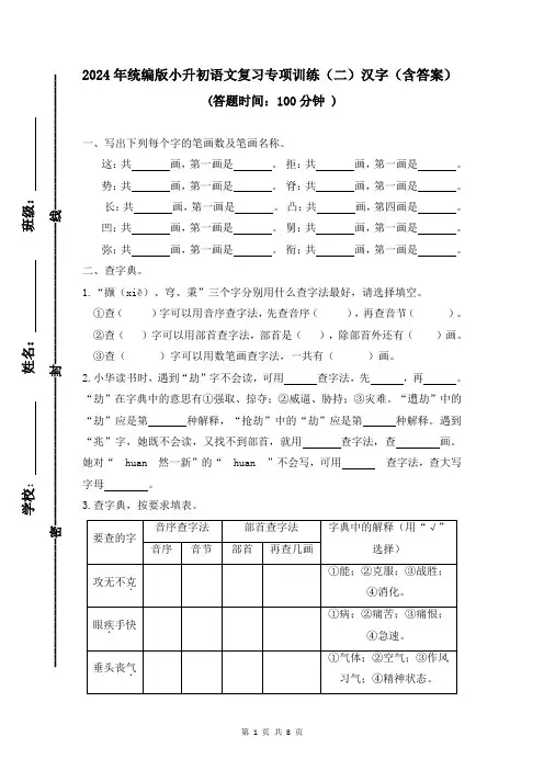 2024年小学语文小升初专项复习复习专项训练(二)汉字(含答案)