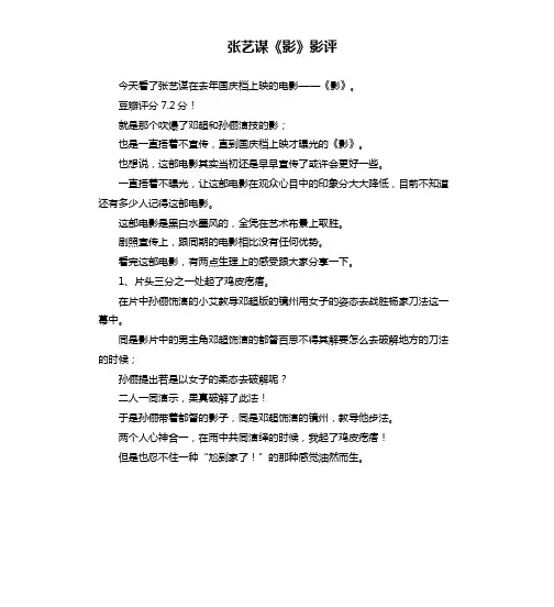 张艺谋《影》影评