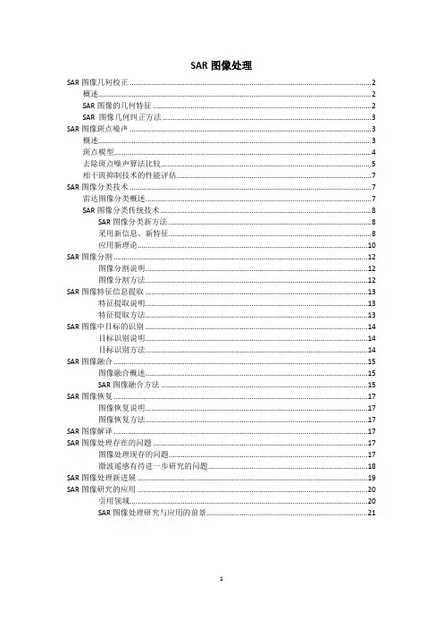 SAR图像处理