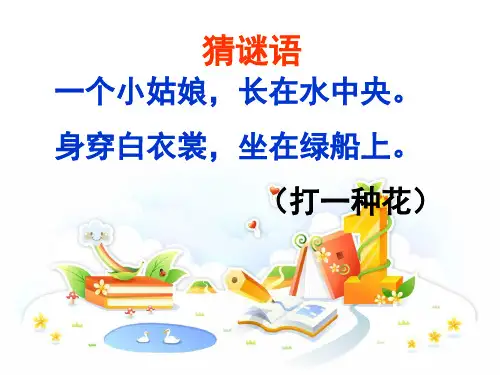 人教三年级：3 荷花(共37张PPT)教育课件
