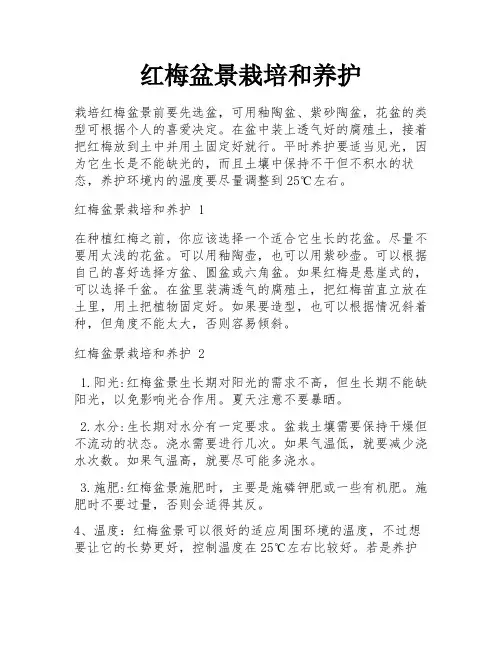 红梅盆景栽培和养护