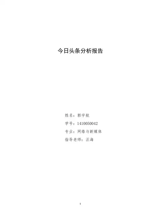 今日头条分析报告汇总