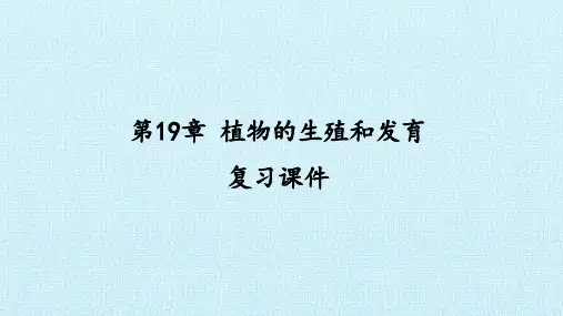 苏科版八年级生物上册：第19章 植物的生殖和发育  复习课件(共40张PPT)