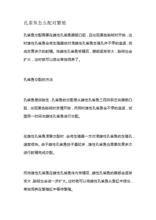 孔雀鱼怎么配对繁殖