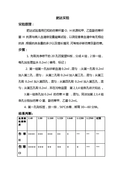 肥达试验报告