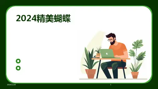2024精美蝴蝶(2024)