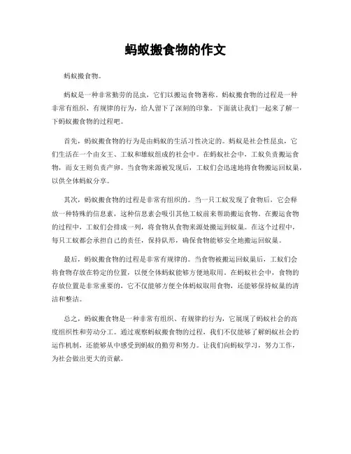 蚂蚁搬食物的作文