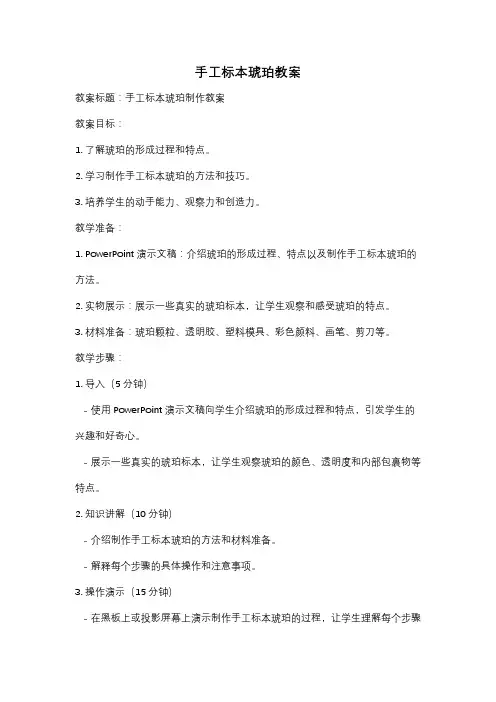 手工标本琥珀教案