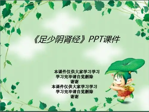 《足少阴肾经》PPT课件可编辑全文